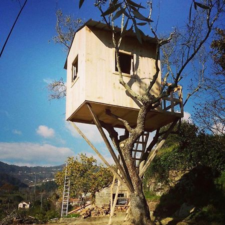 Casa Da Mouta - Douro Valley Baião Екстериор снимка