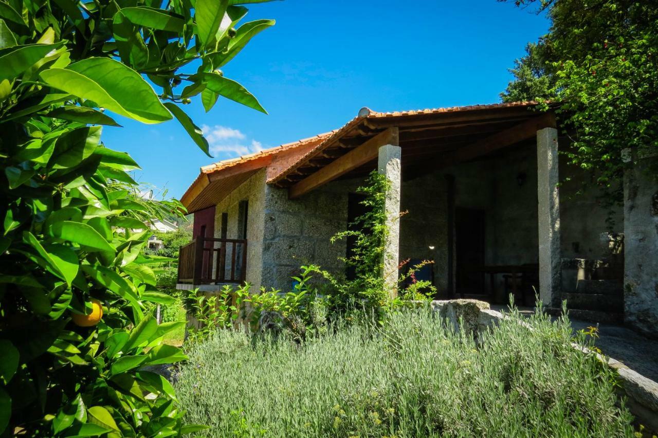 Casa Da Mouta - Douro Valley Baião Екстериор снимка