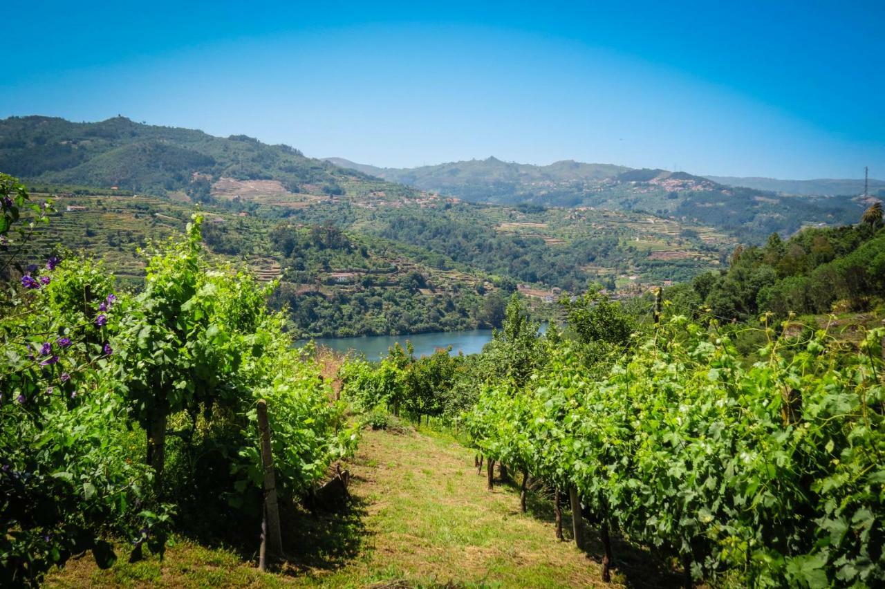Casa Da Mouta - Douro Valley Baião Екстериор снимка