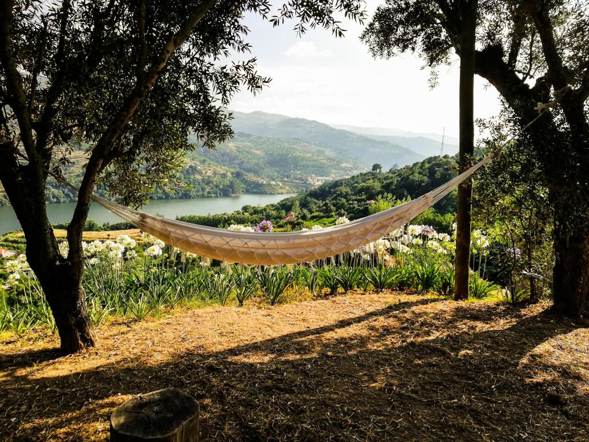 Casa Da Mouta - Douro Valley Baião Екстериор снимка