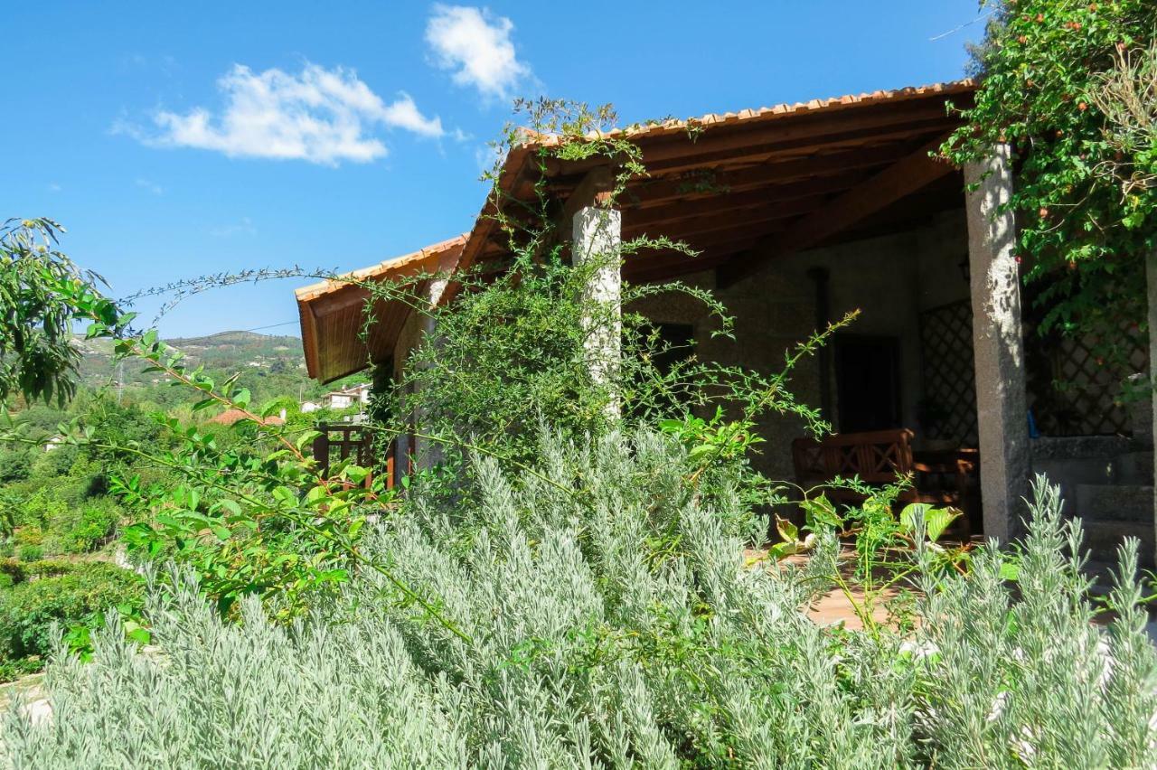 Casa Da Mouta - Douro Valley Baião Екстериор снимка